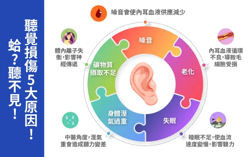 0813 Vol.0025聽力內文圖 繁 市場 03 1