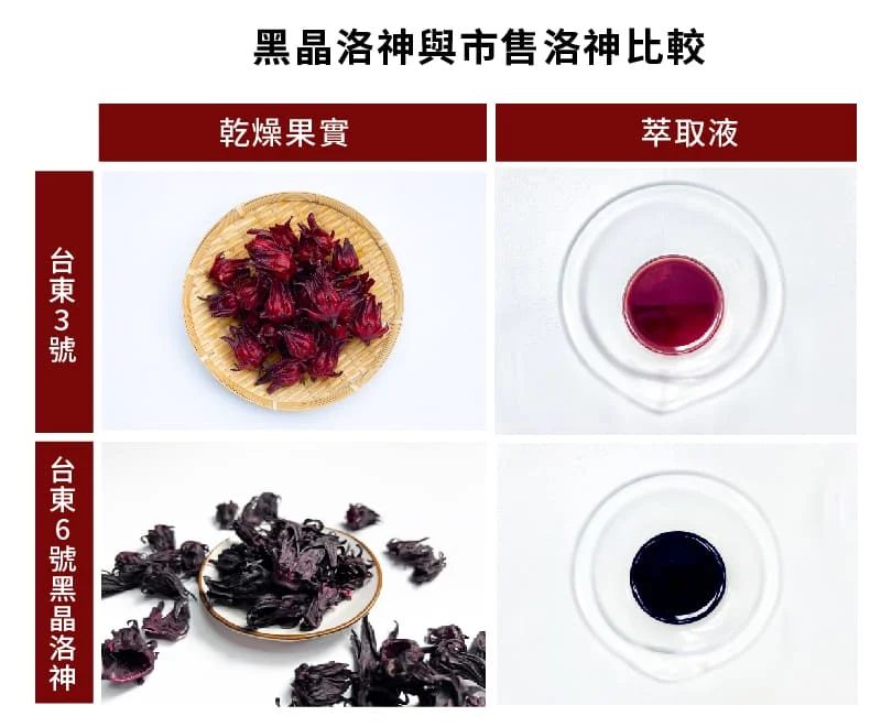 黑晶洛神單張 02 1