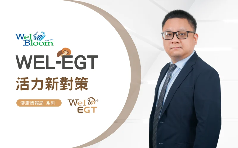 逢興影片banner 800500 2 1