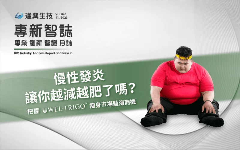 Vol.0065 Wel Trigo肥胖 繁 封面 底 封面 1