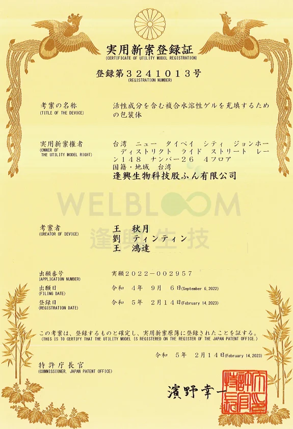 劑型 11