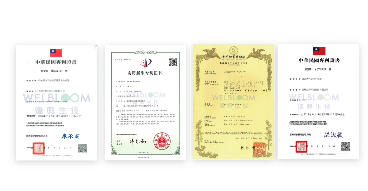 劑型 工作區域 1 複本 7