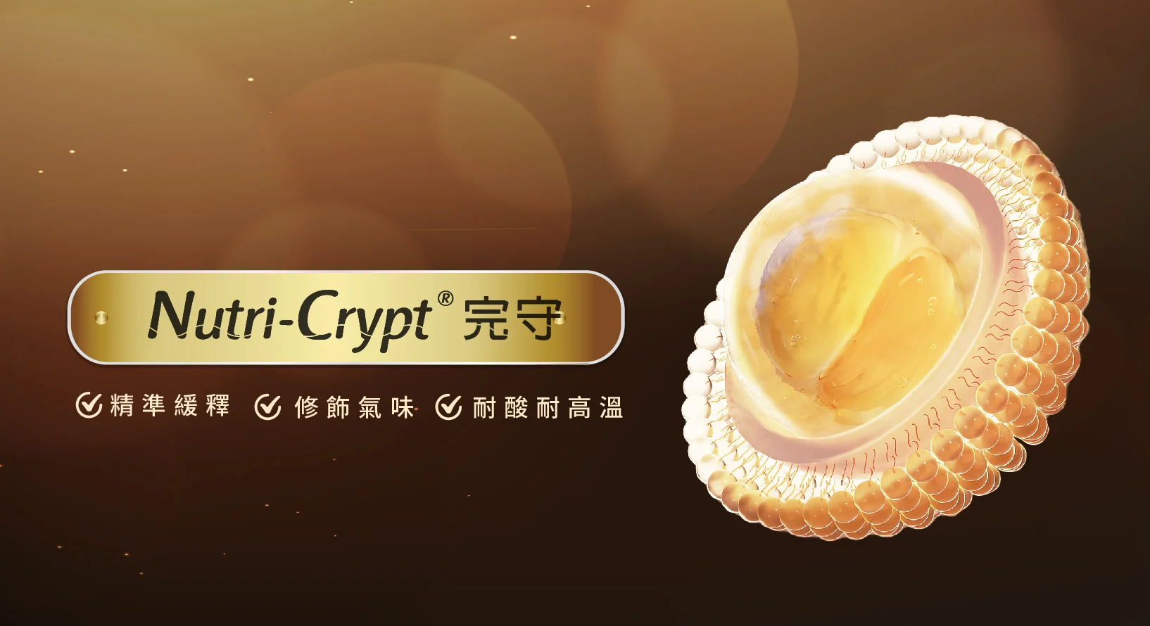劑型 17