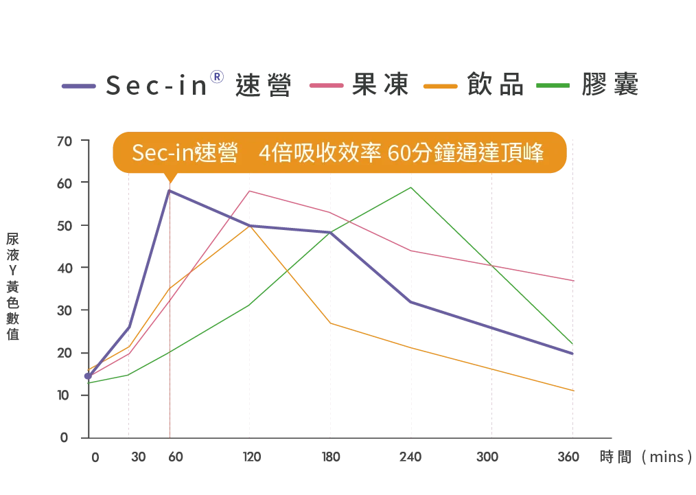 劑型 工作區域 1 複本 6