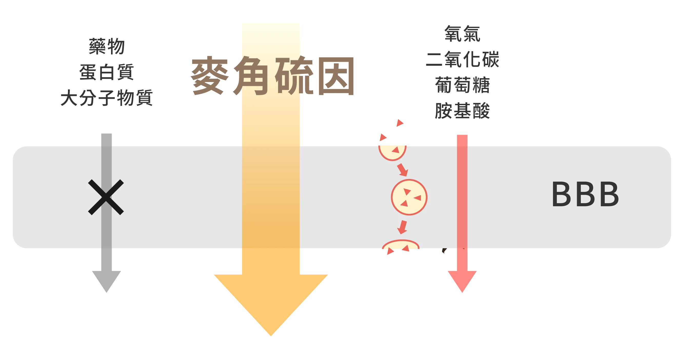 2025官網圖 16