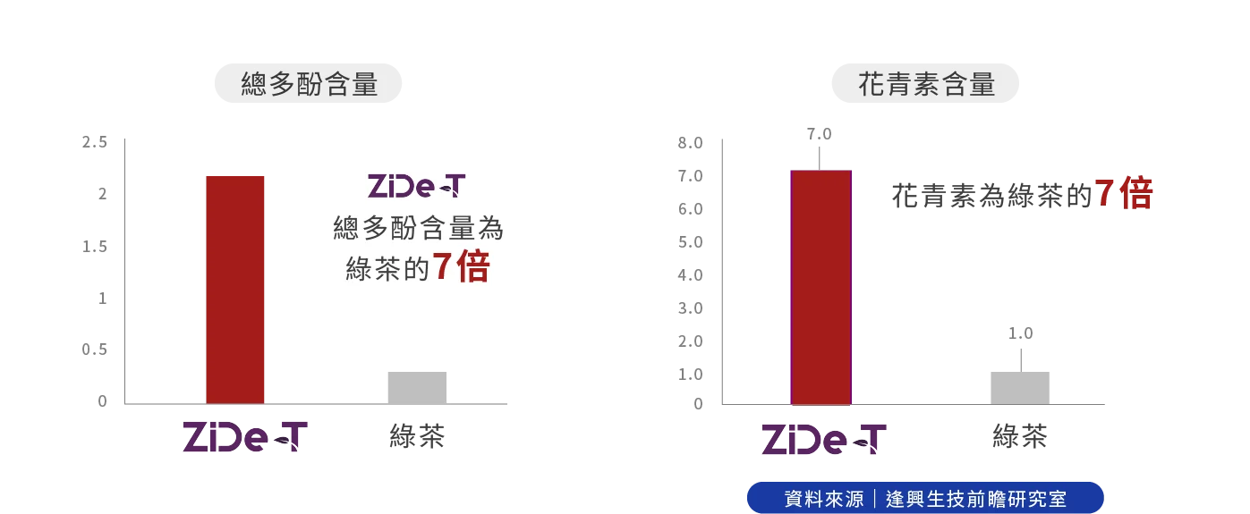Zide T 04