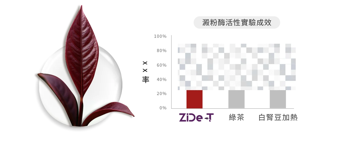 Zide T 11