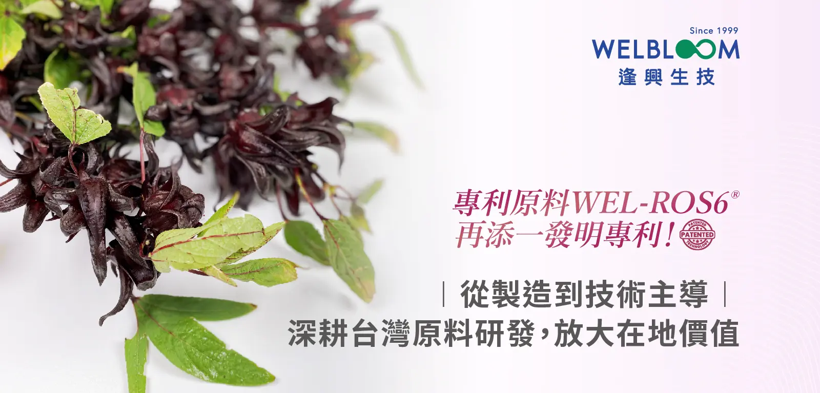 洛神專利 內文圖1 1600x767