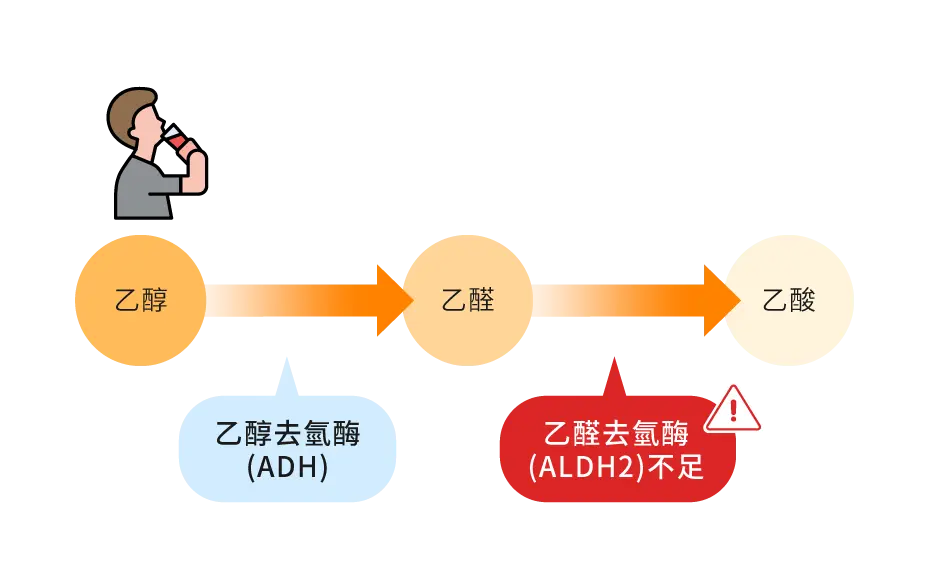 Druncaretm 官網 01