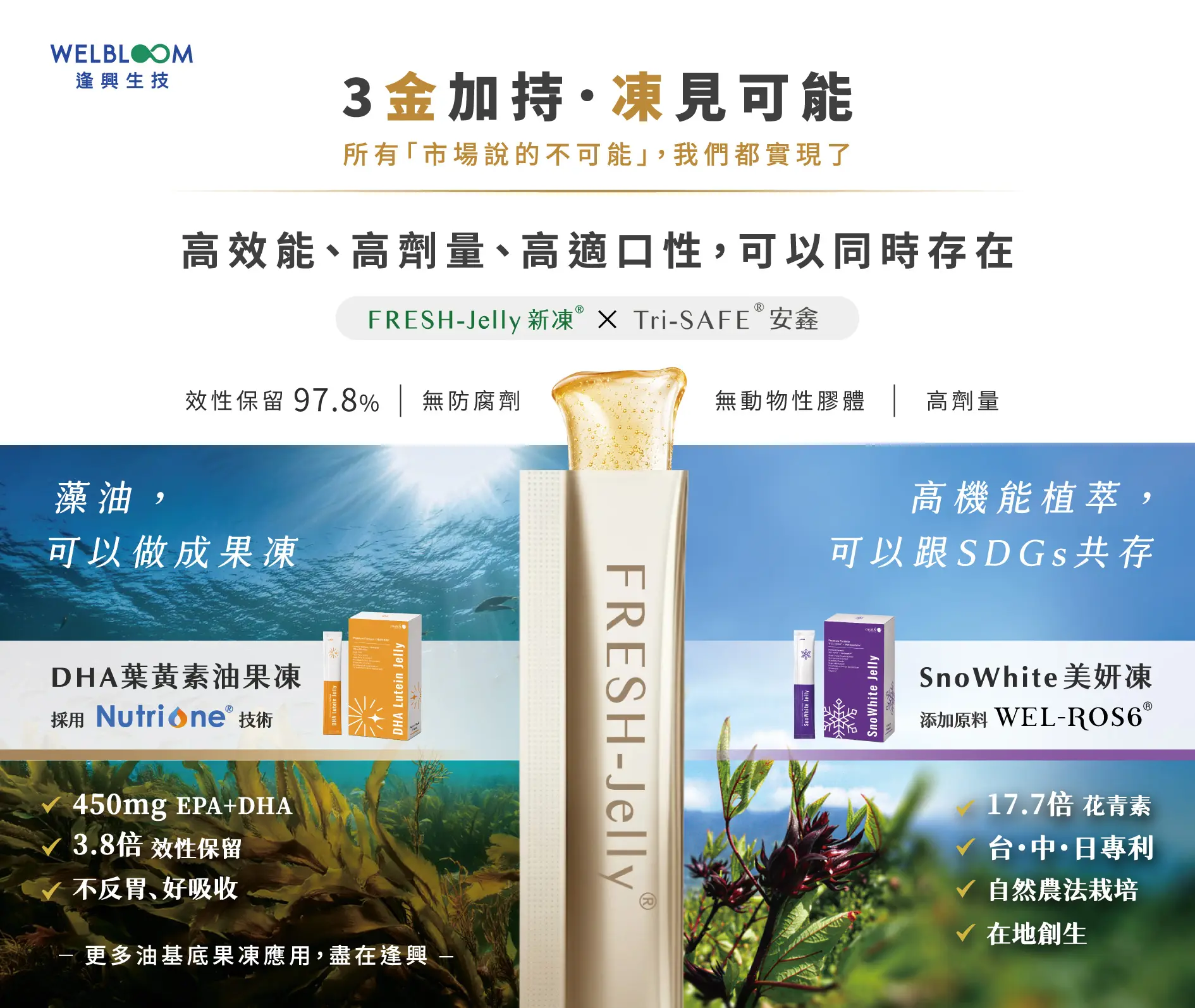 Snowhite美妍 護眼油果凍 圖文 03