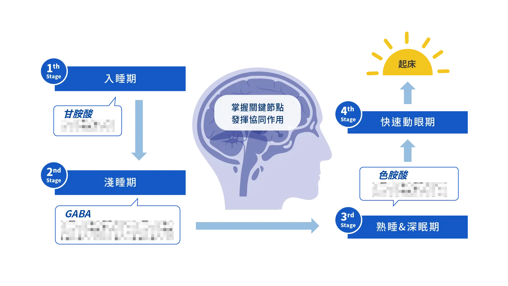 睡眠機轉